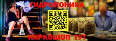 шишки Ирбит
