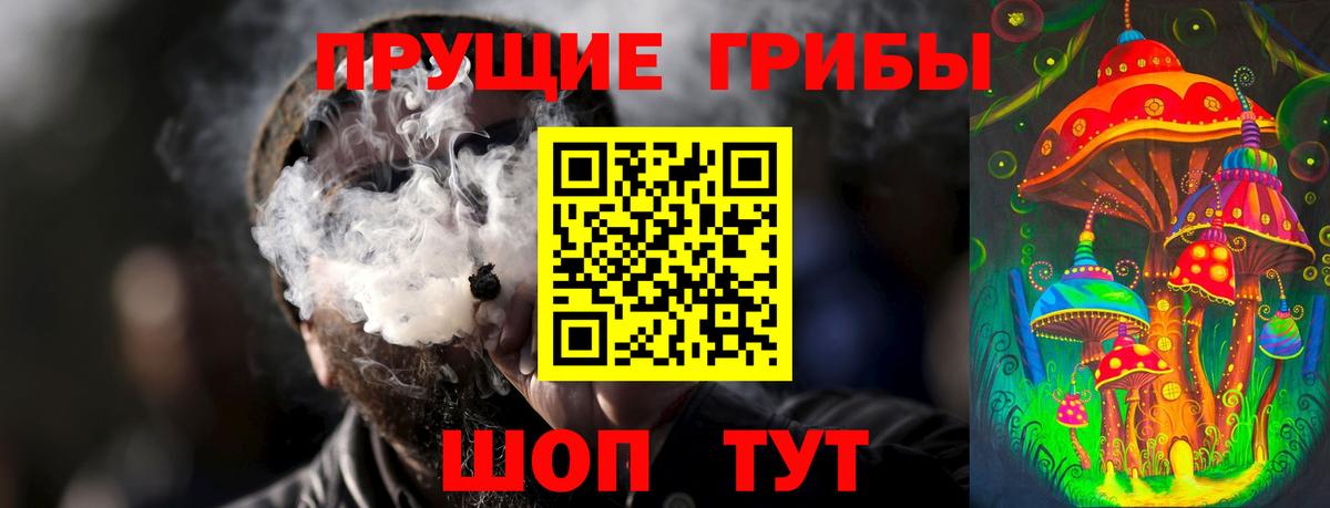 Галлюциногенные грибы GOLDEN TEACHER  Вход с VPN  Галлюциногенные грибы Psilocybine cubensis  Аксай 